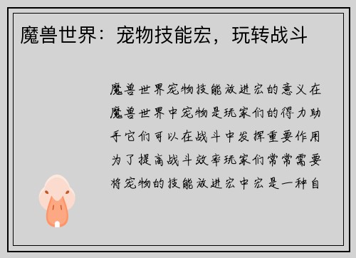 魔兽世界：宠物技能宏，玩转战斗